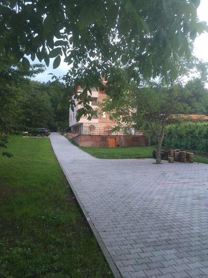 Vila Akademik A1 Soko Banja Dış mekan fotoğraf